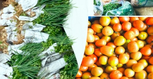 IMAPer Hạnh Phúc - Hành trình tiếp sức tháng 07
